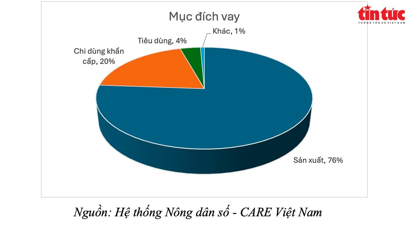 Biểu đồ thể hiện tỷ lệ các mục đích vay vốn của các thành viên trong nhóm Tương trợ vốn. d2.jpg