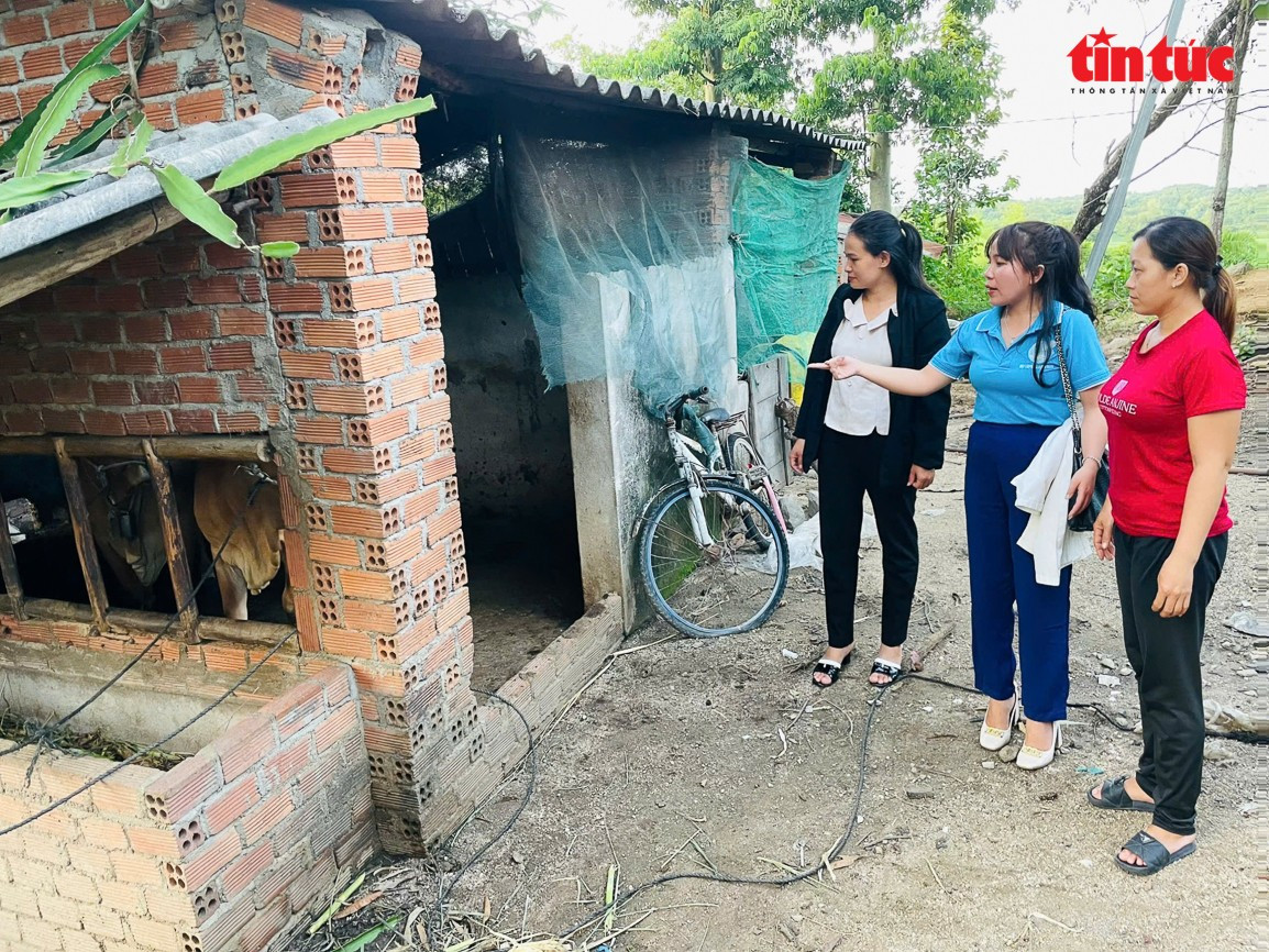 Mô hình nuôi bò sinh sản của Hội LHPN xã Ea Sô (huyện Ea Kar, tỉnh Đắk Lắk) đã góp phần hỗ trợ sinh kế giúp phụ nữ DTTS thoát nghèo. dt-6.jpg