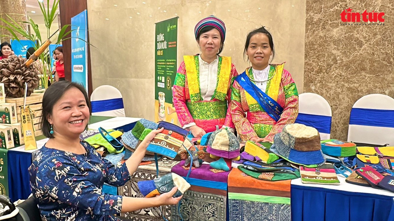Bà Nguyễn Thị Lan Anh, Phó Chủ tịch Liên hiệp hội người khuyết tật Việt Nam. tintuc-1.jpg