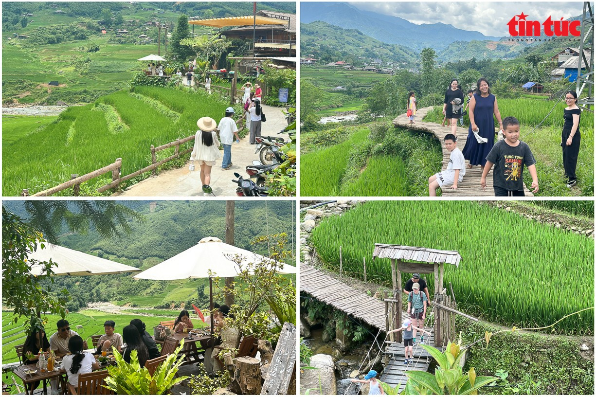 Nhiều homestay, quán cafe địa phương có hướng nhìn ra ruộng bậc thang thu hút du khách ghé thăm. tt-16.jpg