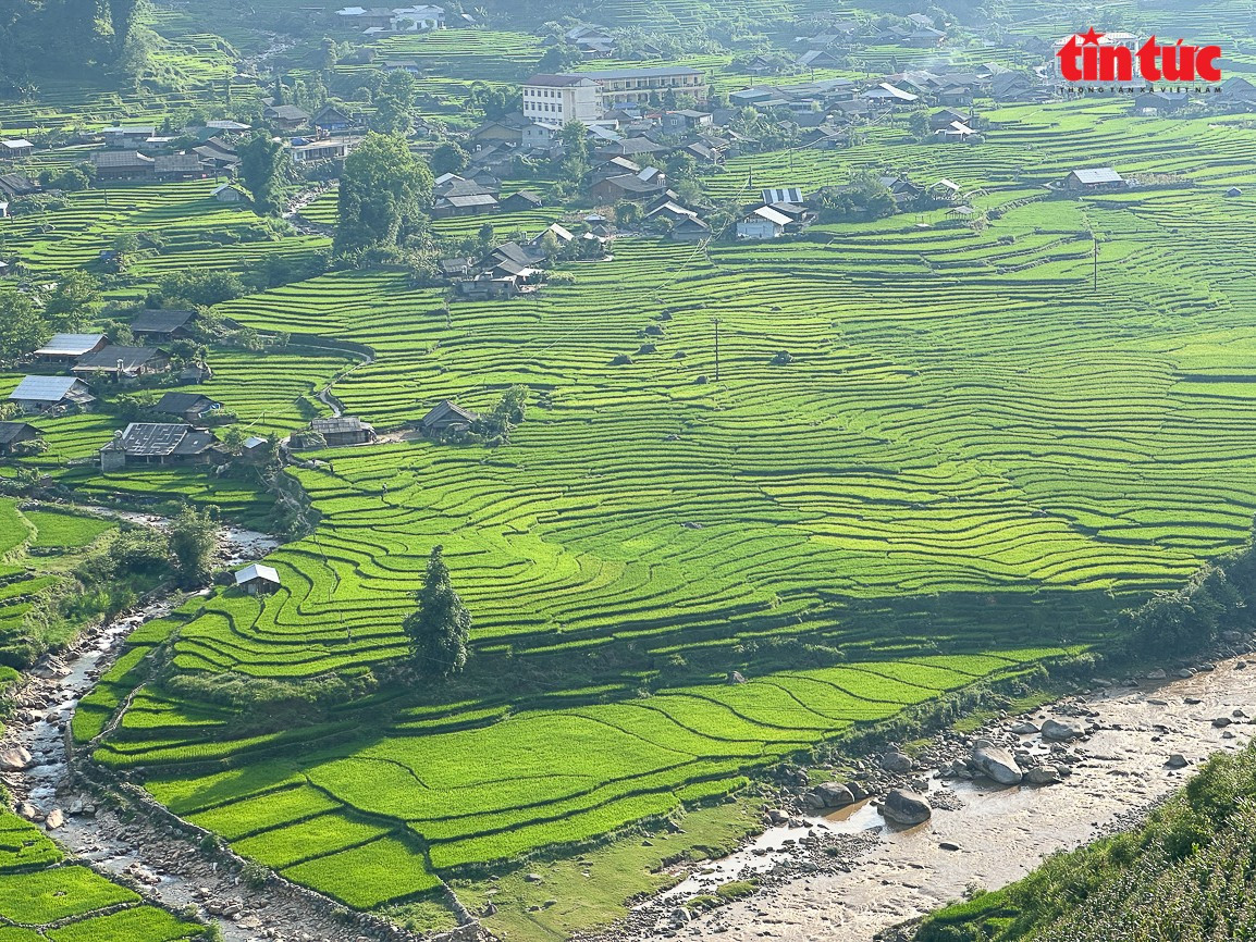 Các rãnh này thường được đào, đắp bờ và chia thành các mương nhỏ để dẫn nước từ ruộng cao xuống ruộng thấp, tạo thành một hệ thống thủy lợi hiệu quả. tt-3.jpg