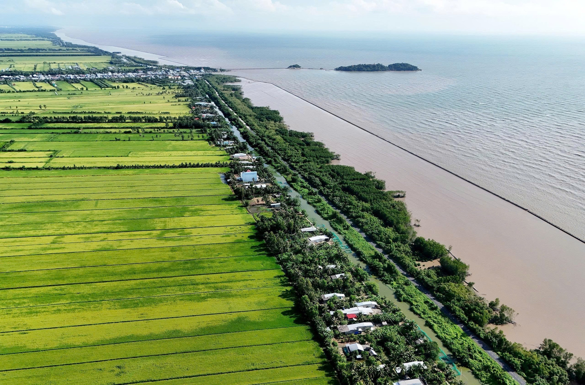 Đê biển Tây phía tỉnh Cà Mau dài hơn 108 km, là công trình có vai trò phòng thủ xung yếu để phòng chống thiên tai, bảo vệ sản xuất và đời sống người dân của cả một vùng rộng lớn bên trong. Ảnh: Hồng Đạt/TTXVN Đê biển Tây phía tỉnh Cà Mau dài hơn 108 km, là công trình có vai trò phòng thủ xung yếu để phòng chống thiên tai, bảo vệ sản xuất và đời sống người dân của cả một vùng rộng lớn bên trong. Ảnh: Hồng Đạt/TTXVN