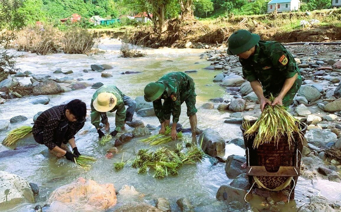 Lực lượng biên phòng hỗ trợ người dân gặt lúa tại những vùng chịu ảnh hưởng nặng nề của mưa lũ ở Nghệ An. Ảnh: TTXVN phát nghe-an2-4625.jpg