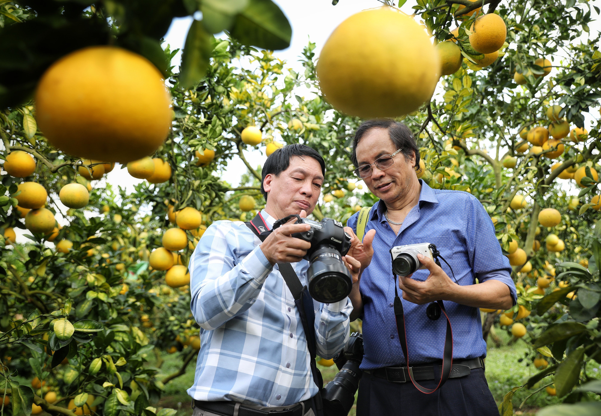 Khởi sắc du lịch mùa trái chín ảnh 5