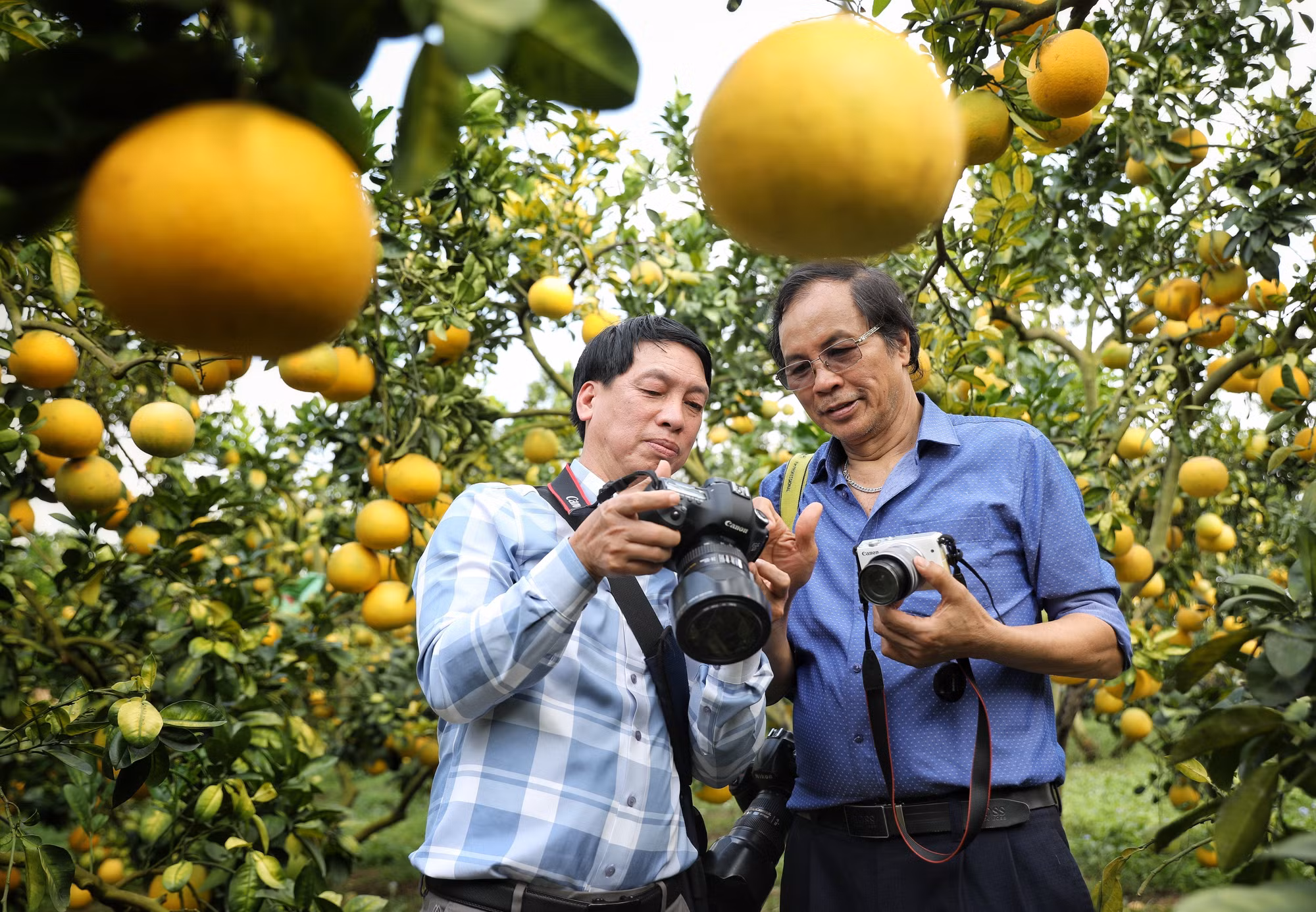 Khởi sắc du lịch mùa trái chín ảnh 5