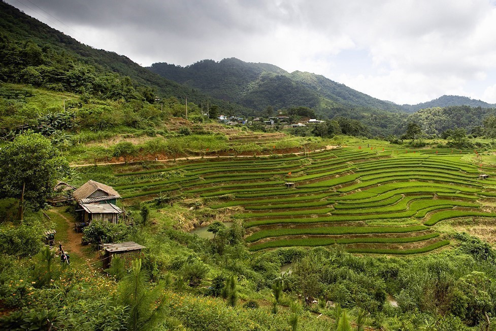 Vẻ đẹp của ruộng bậc thang tại xóm Mừng, xã Cao Phong (Phú Thọ). Vẻ đẹp của ruộng bậc thang tại xóm Mừng, xã Cao Phong (Phú Thọ).
