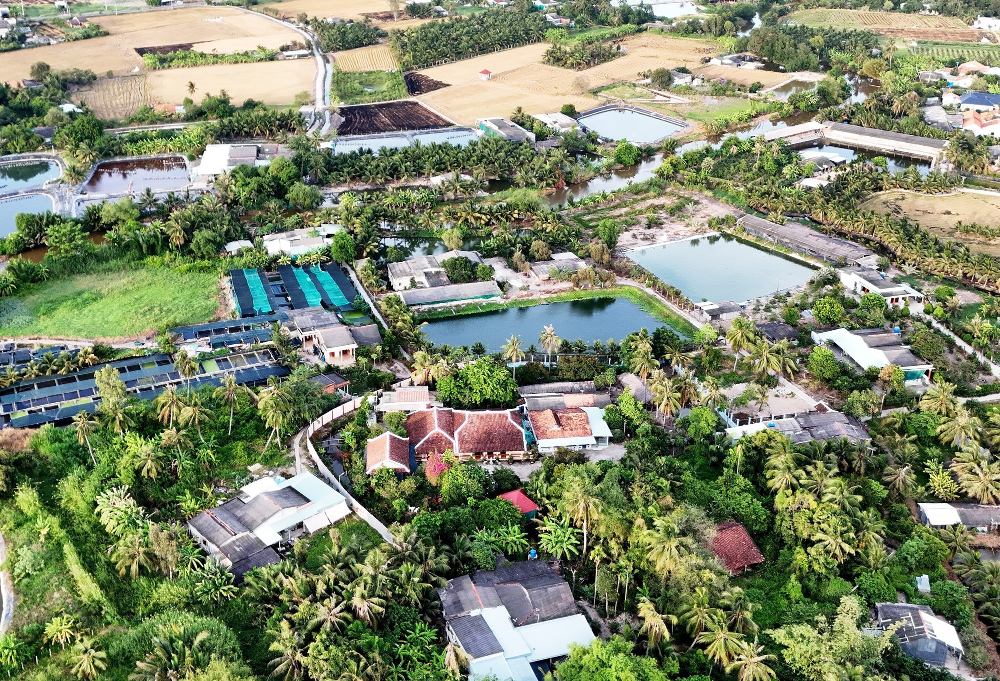 Nhà thờ cổ họ Lê ở ấp Thạnh Lợi, xã Đức Tân, huyện Tân Trụ, tỉnh Long An được ông Lê Văn Khiêm, một phú nông trên vùng đất này xây cất từ những năm đầu thế kỷ 20.