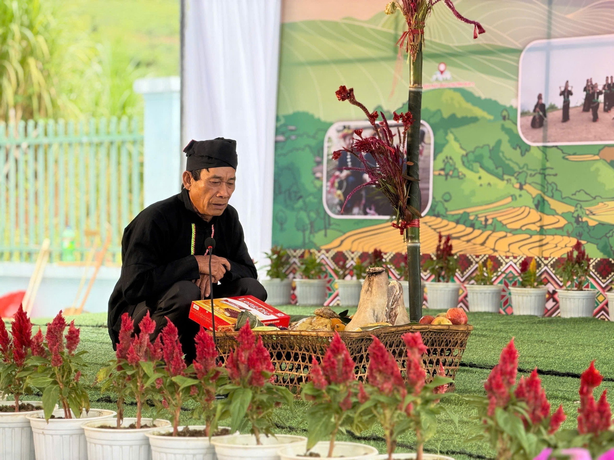 Hoa mào gà là biểu tượng trong ngày Tết cổ truyền của đồng bào dân tộc Cống. Ảnh: TTXVN phát