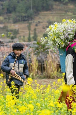 Du Xuân trên cao nguyên đá Đồng Văn 