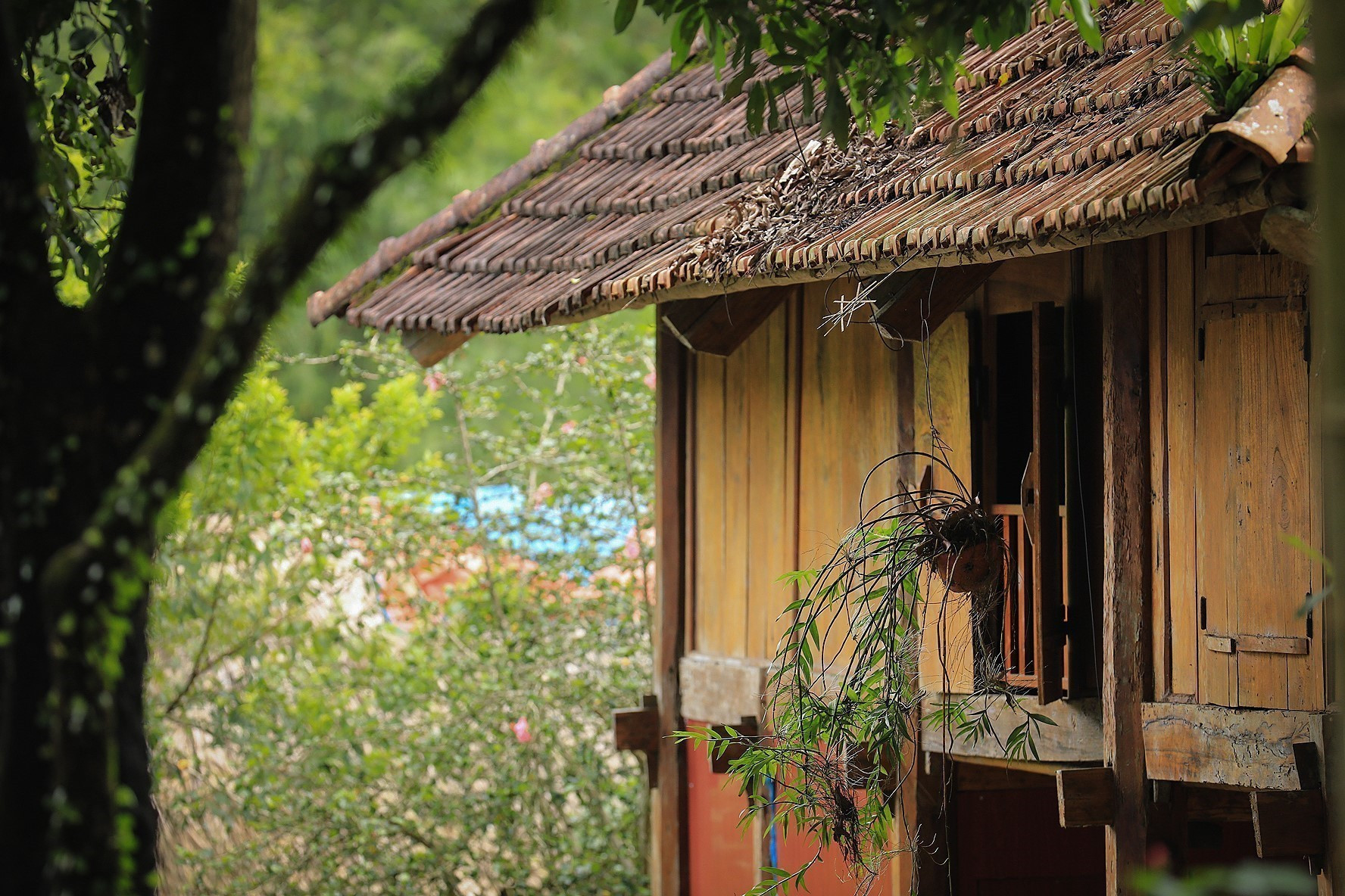 Những ngôi nhà sàn trầm mặc cổ kính tại xóm Mường cổ Lũy Ải, xã mường Bi.