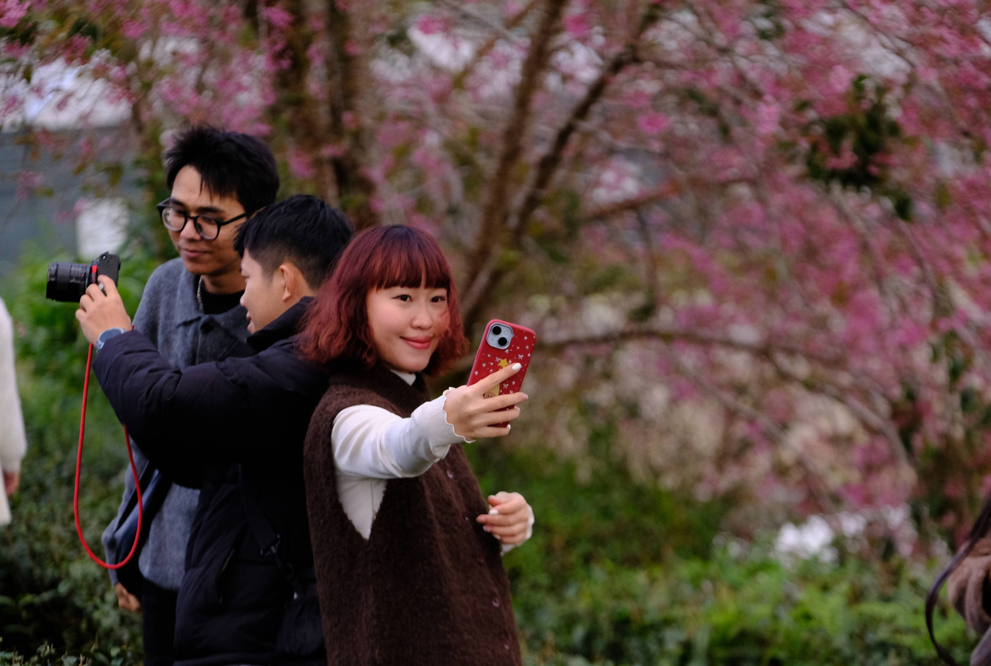 Du khách tự lưu lại khoảnh khắc bên cây mai anh đào Đà Lạt.