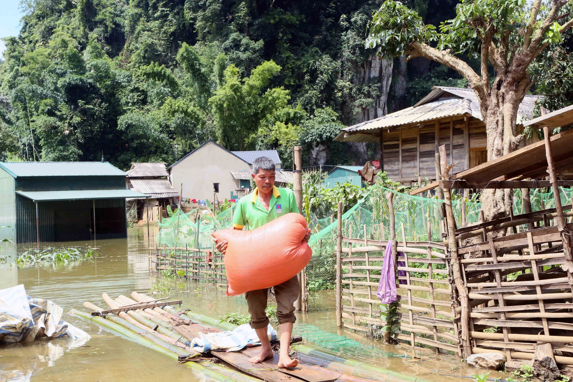 Ông Tòng Văn Mẳn, bản Phiêng Nghè vận chuyển thóc đến nơi an toàn. Ông Tòng Văn Mẳn, bản Phiêng Nghè vận chuyển thóc đến nơi an toàn.