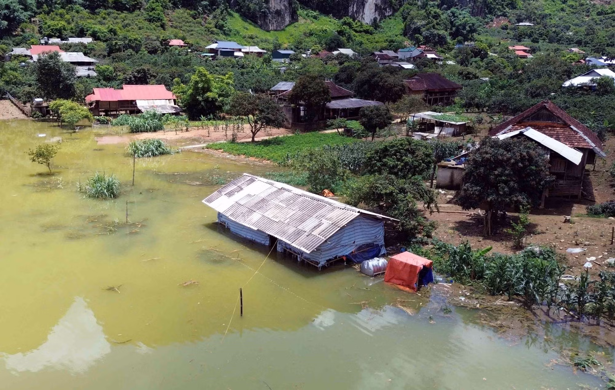 Đến chiều 4/7/2025, Bản Phiêng Nghè bị ngập trên diện tích khoảng 2 ha; 15 hộ gia đình bị ảnh hưởng, trong đó, có 7 hộ gia đình phải di dời khẩn cấp.