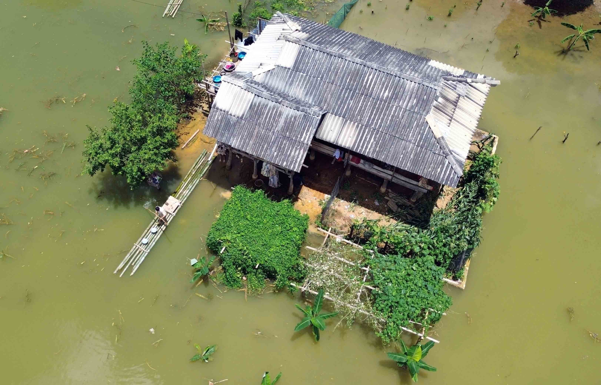Đến chiều 4/7/2025, Bản Phiêng Nghè đã bị ngập úng trên diện tích khoảng 2 ha; 15 hộ gia đình bị ảnh hưởng, trong đó, có 7 hộ gia đình phải di dời khẩn cấp. Đến chiều 4/7/2025, Bản Phiêng Nghè đã bị ngập úng trên diện tích khoảng 2 ha; 15 hộ gia đình bị ảnh hưởng, trong đó, có 7 hộ gia đình phải di dời khẩn cấp.