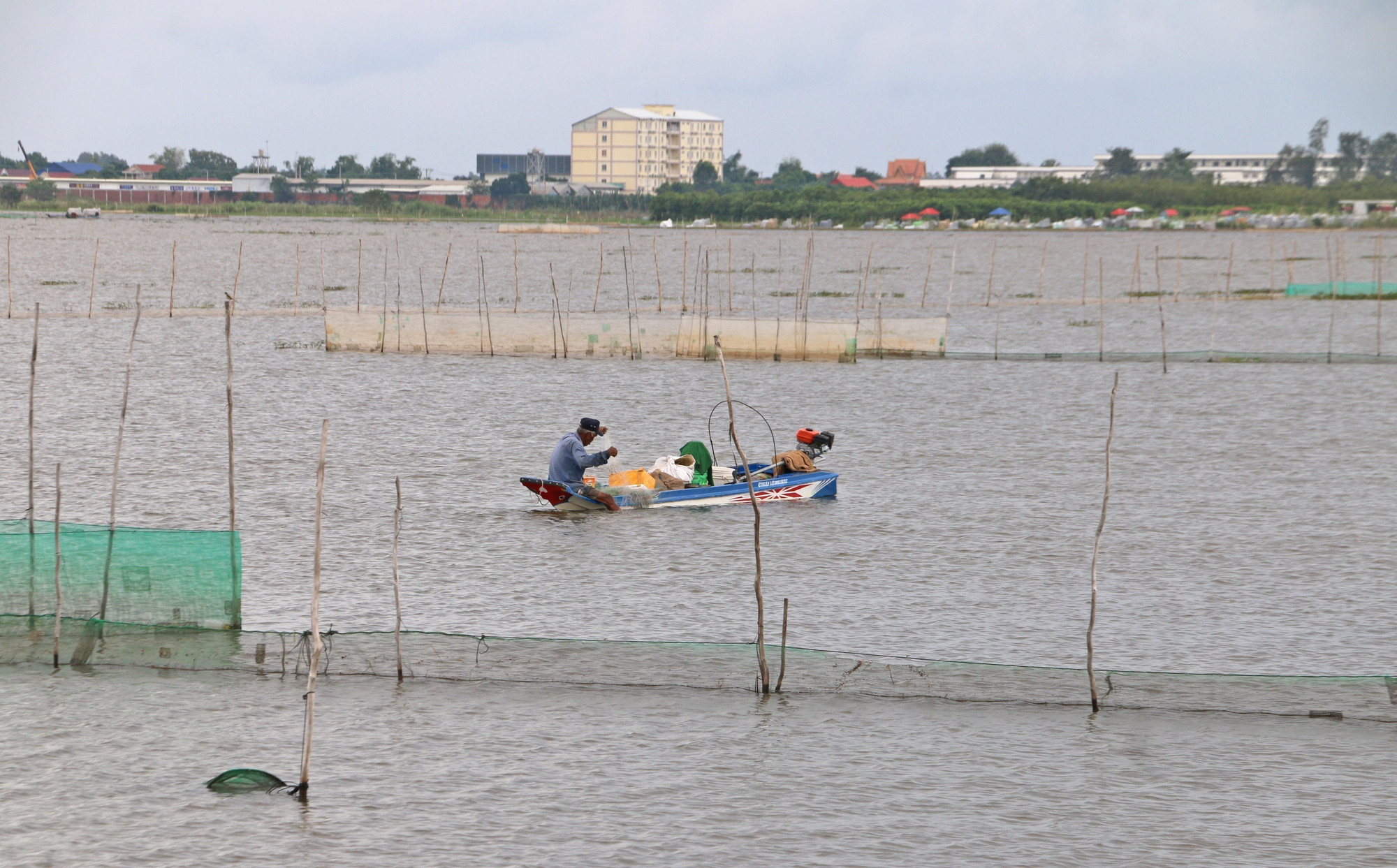 Người dân An Giang đánh bắt cá trên cánh đồng ngập lũ thuộc xã Vĩnh Xương, tỉnh An Giang.