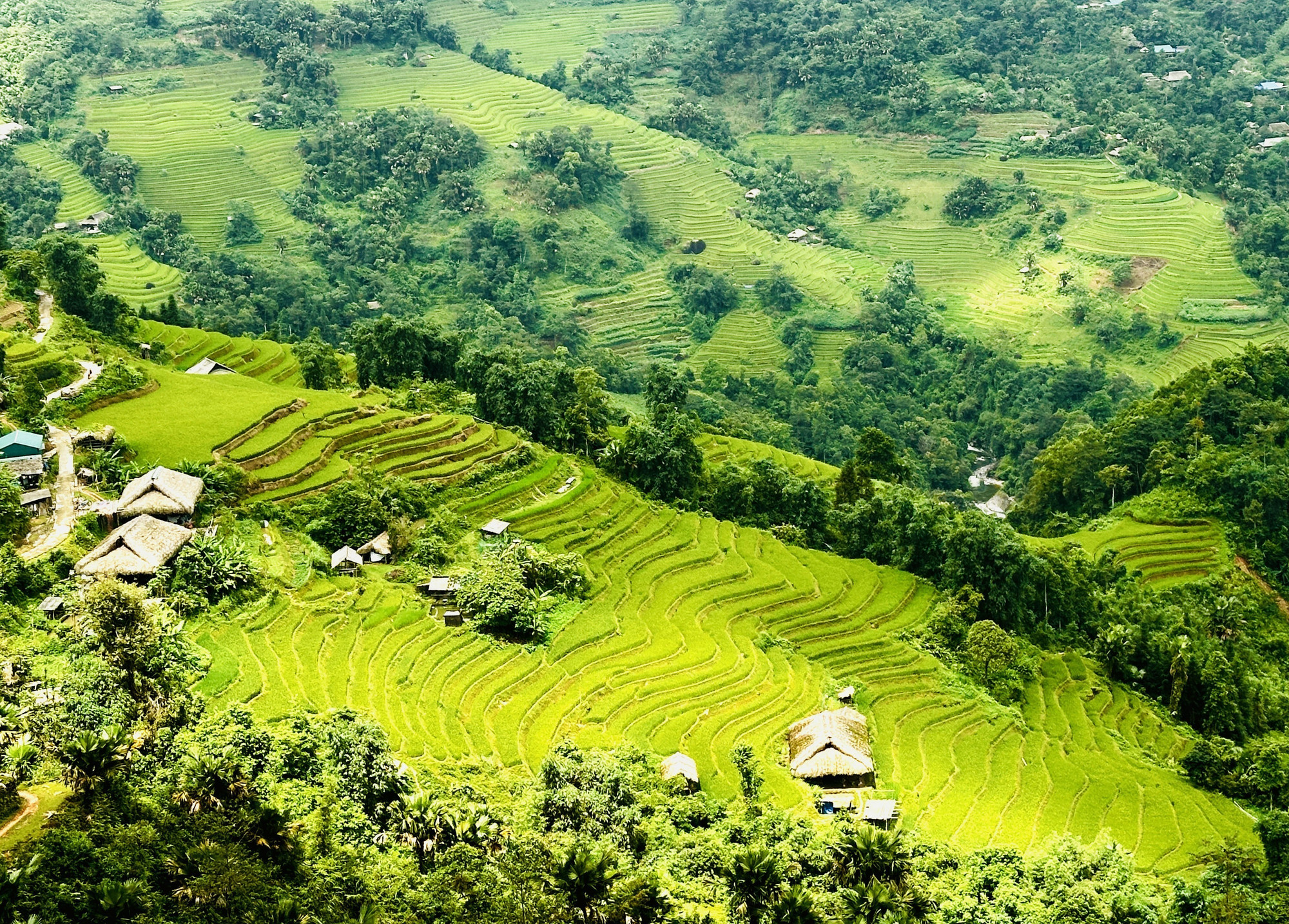 Ruộng bậc thang Xà Phìn tại xã Thanh Thủy (Tuyên Quang). tay-con-linh-tuyen-quang-3.jpg