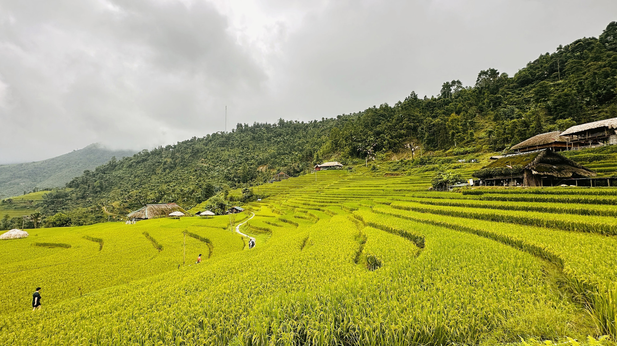 Ruộng bậc thang Xà Phìn tại xã Thanh Thủy (Tuyên Quang). tay-con-linh-tuyen-quang-4.jpg