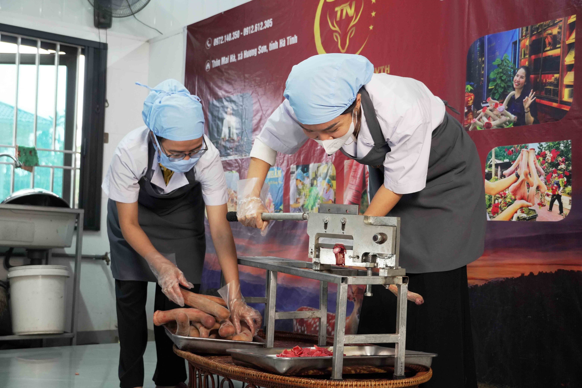 Sản phẩm nhung hươu tươi được chế biến tại Công ty TNHH thương mại và dịch vụ Trầm Nhân (xã Hương Sơn).