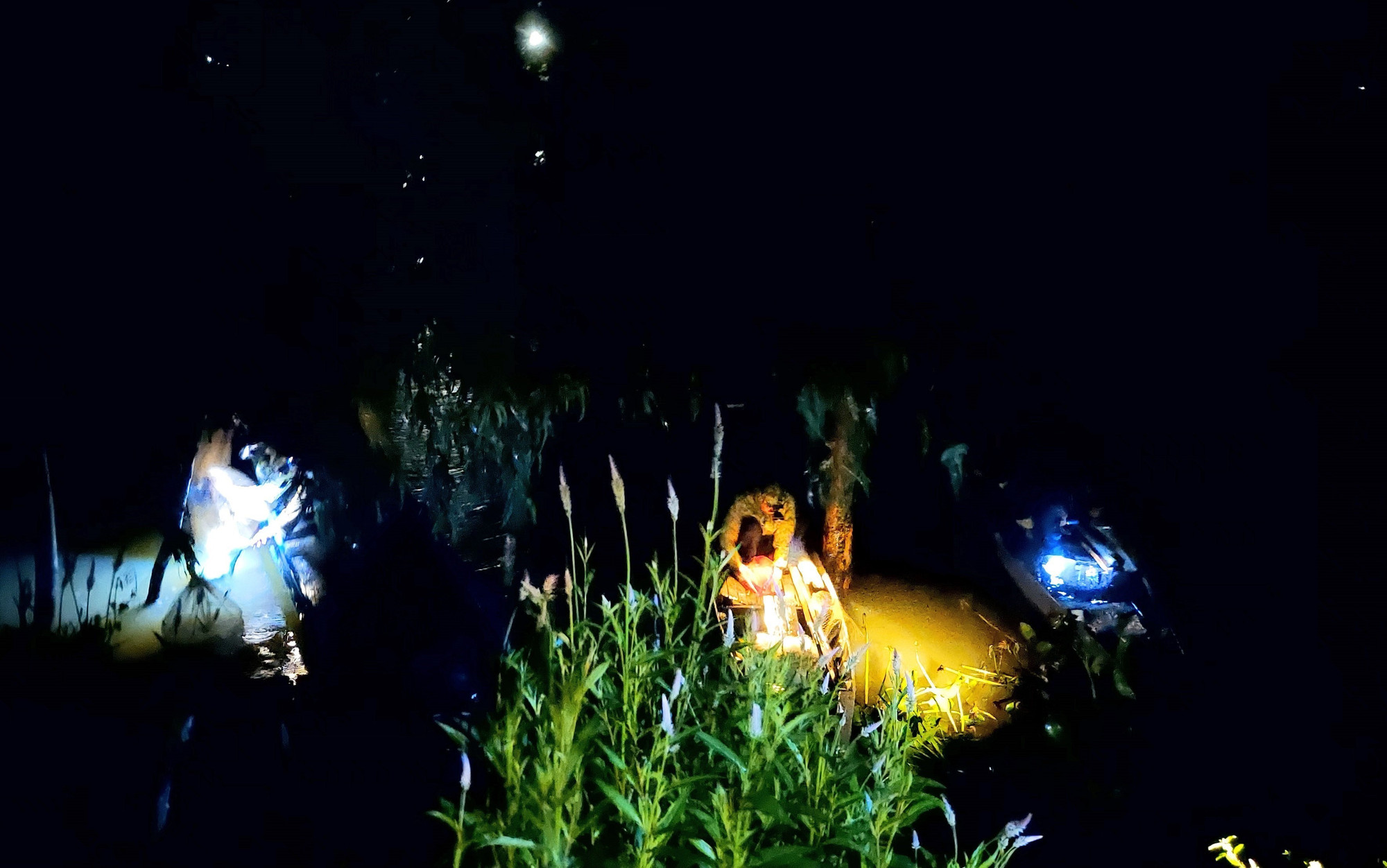 Những chiếc xuồng máy chở theo tôm, cá là thành quả sau một đêm giăng câu, thả lưới trên cánh đồng lũ.