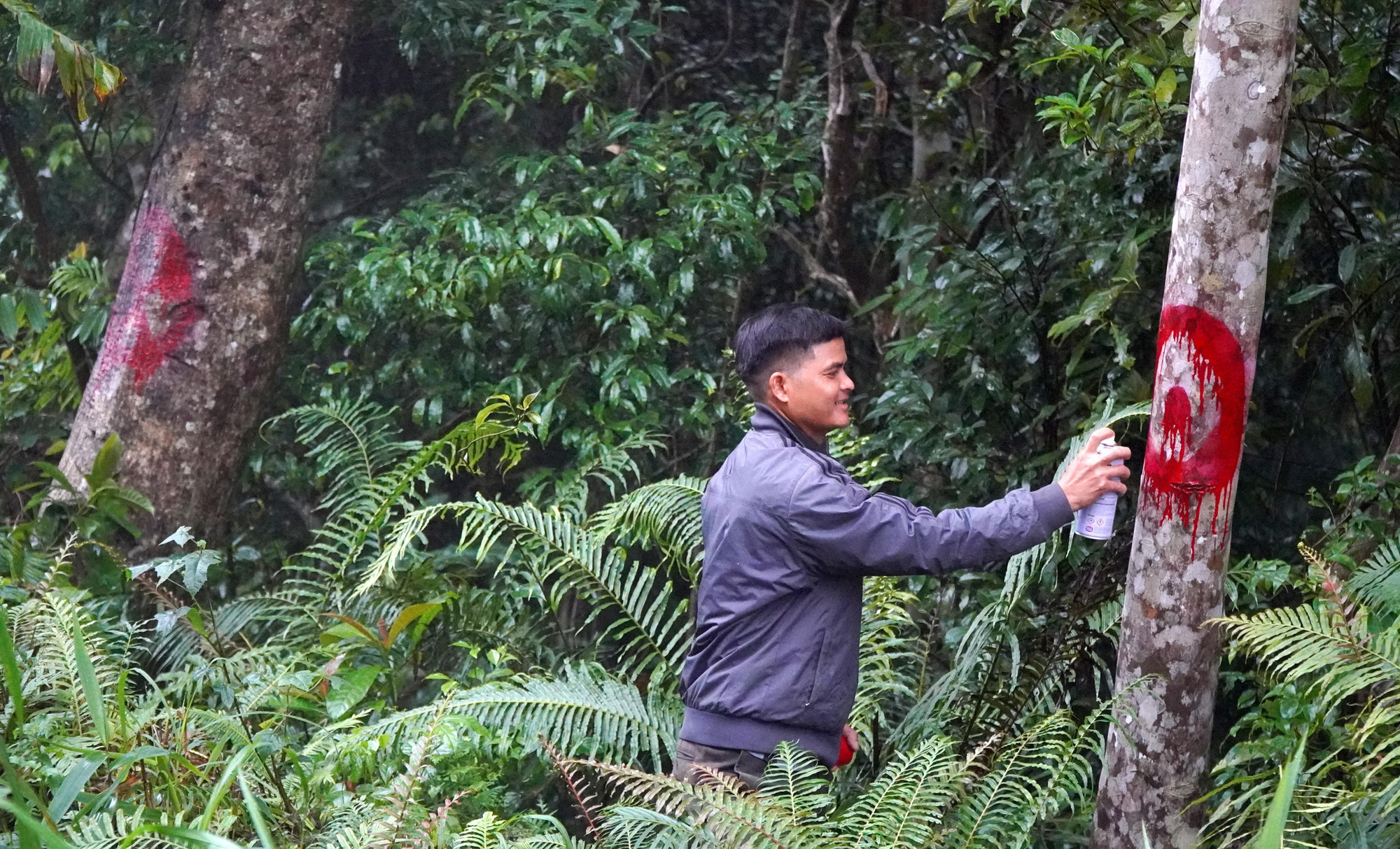 Thành viên Tổ cộng đồng bảo vệ rừng thôn Làng Ren, xã Minh Long đánh dấu cây gỗ thuộc phạm vi rừng được bảo vệ, tránh người dân xâm hại, khai thác trái phép.
