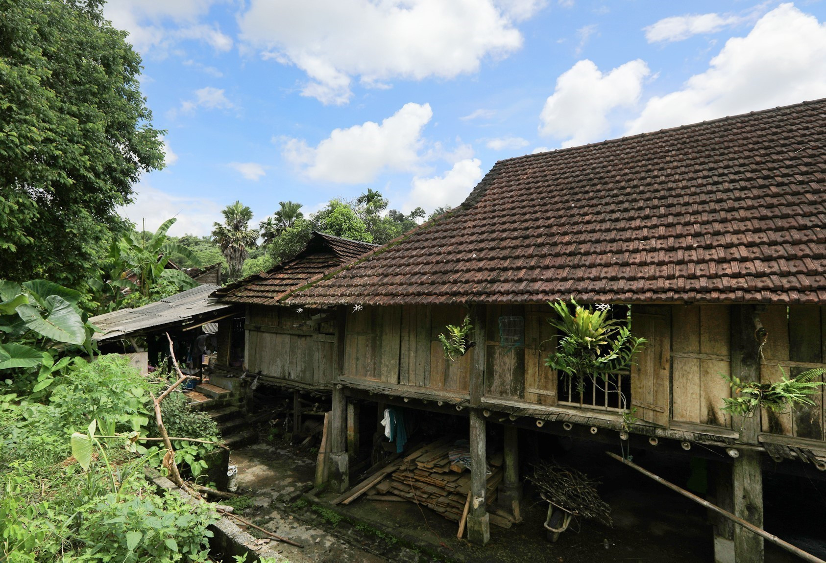 Những ngôi nhà sàn trầm mặc bên lối đi quanh co, nối tiếp nhau, không cổng vào, không ngăn cách.