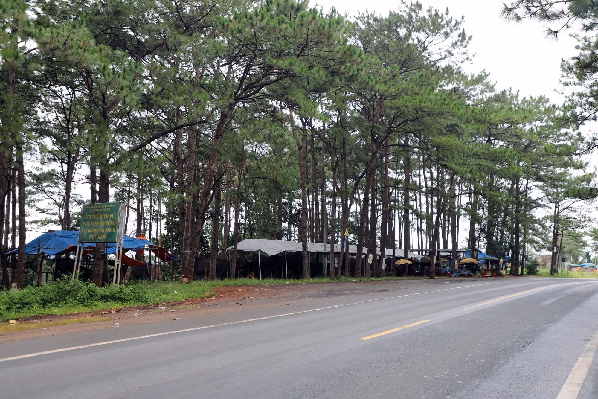 Hàng quán được dựng trái phép trên đất rừng và đất hành lang an toàn giao thông ven đường Hồ Chí Minh, đoạn qua xã Trường Xuân, tỉnh Lâm Đồng. Ảnh: TTXVN phát