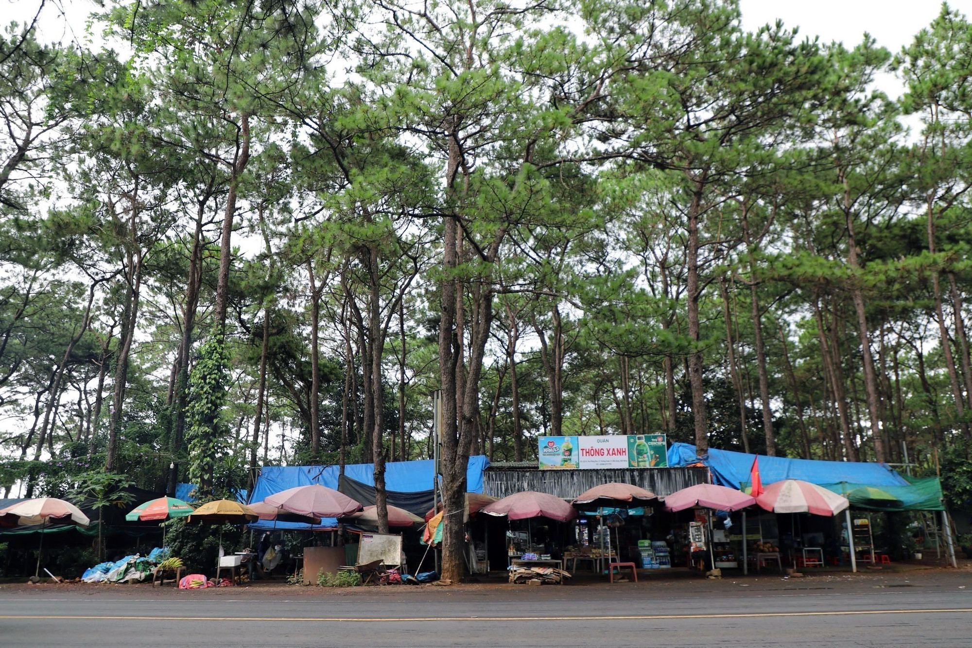 Hàng quán được dựng trái phép trên đất rừng và đất hành lang an toàn giao thông ven đường Hồ Chí Minh, đoạn qua xã Trường Xuân, tỉnh Lâm Đồng. Ảnh: TTXVN phát ven-duong-ho-chi-minh-6.jpg