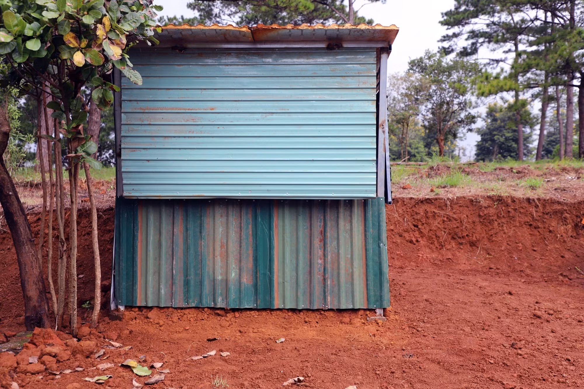 Nhiều trường hợp san gạt đất đai, xây dựng nhà tạm trái phép vào cuối tháng 6/2025. Ảnh: TTXVN phát