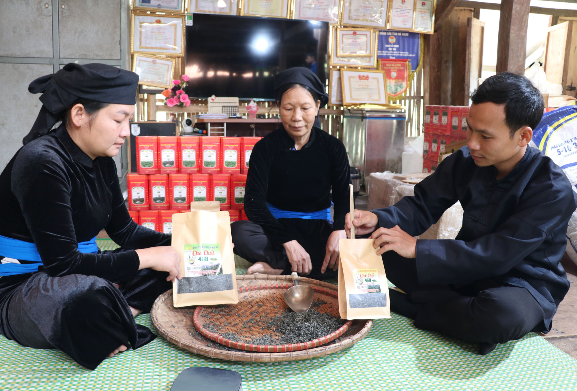 Lý Đức Dân, chàng trai người Tày cùng người dân tạo thương hiệu Chè Chốt 468 trên đỉnh Tây Côn Lĩnh (Tuyên Quang). Ảnh: Đức Thọ/TTXVN