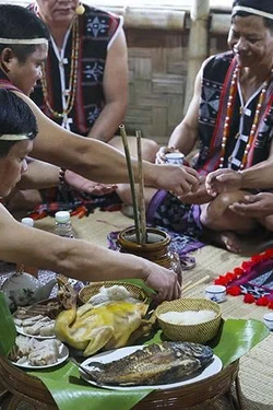 Tái hiện lễ kết nghĩa Cơ Tu: Gìn giữ mạch nguồn đoàn kết giữa đại ngàn