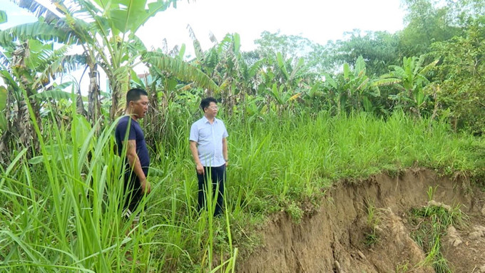 Sạt lở dọc bờ sông Chu, xã Lam Sơn (Thanh Hóa) làm đất trồng cây nông nghiệp của người dân ngày một thu hẹp. Ảnh: Nguyễn Nam/TTXVN song-chu-16925-10.jpg