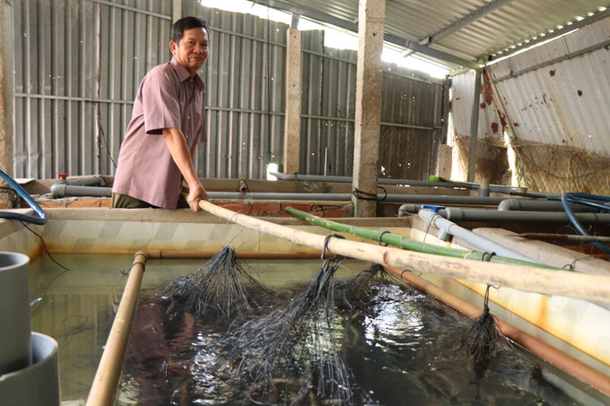 Ông Trần Trung Tri, xã Tân Hòa gắn bó với nghề nuôi lươn không bùn hơn 5 năm. Mỗi năm, ông Tri nuôi khoảng 25.000 - 30.000 con lươn. luon-khong-bun-17825-10.jpg