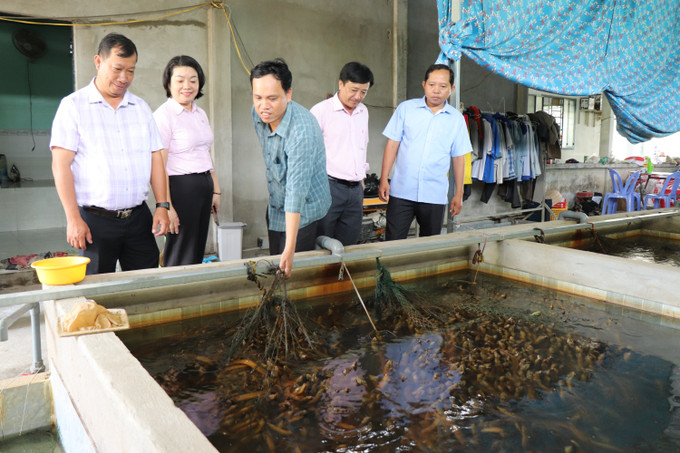 Anh Trương Văn Út, xã Tân Hòa nuôi khoảng 100.000 con lươn mỗi năm, thu lãi hàng trăm triệu đồng. luon-khong-bun-17825-13.jpg