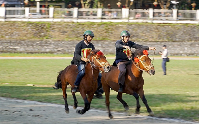 Giải đua ngựa ở Bắc Hà. Ảnh: balaocai.vn