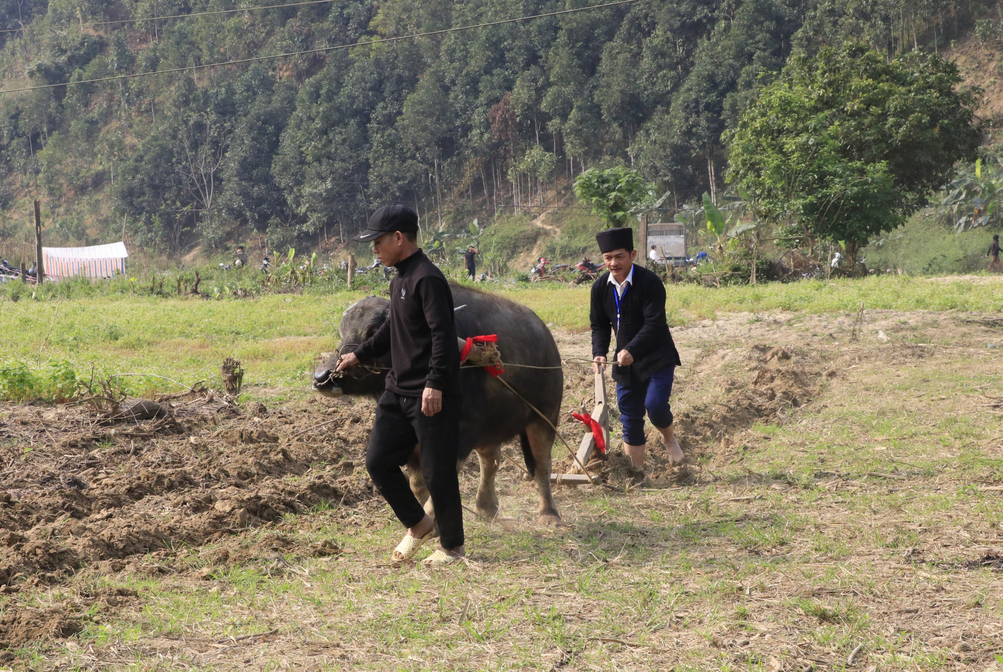 Chủ tịch UBND xã Phong Dụ Thượng Lương Văn Thu thực hiện những đường cày đầu tiên mở đầu cho mùa sản xuất mới.