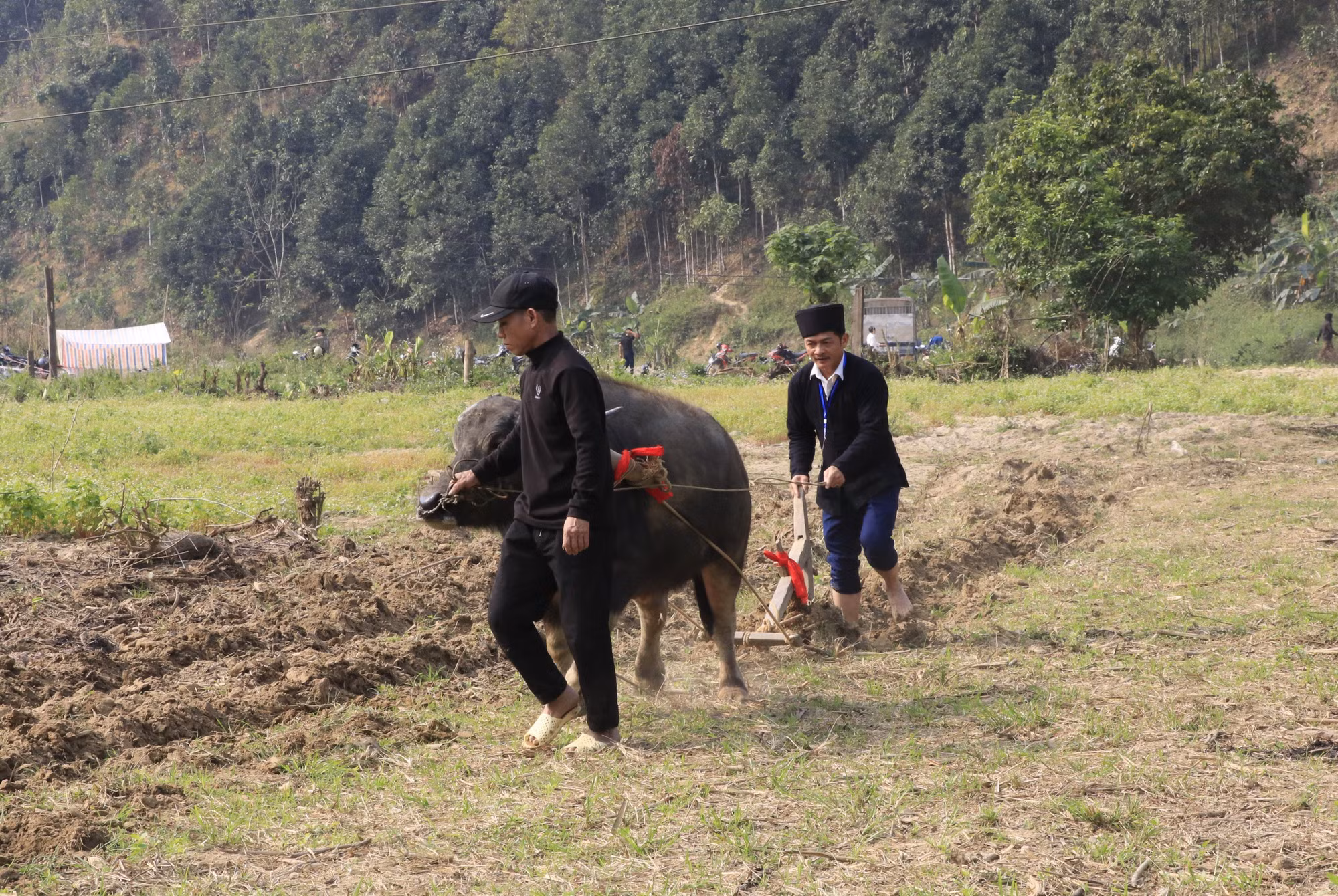 Chủ tịch UBND xã Phong Dụ Thượng Lương Văn Thu thực hiện những đường cày đầu tiên mở đầu cho mùa sản xuất mới.