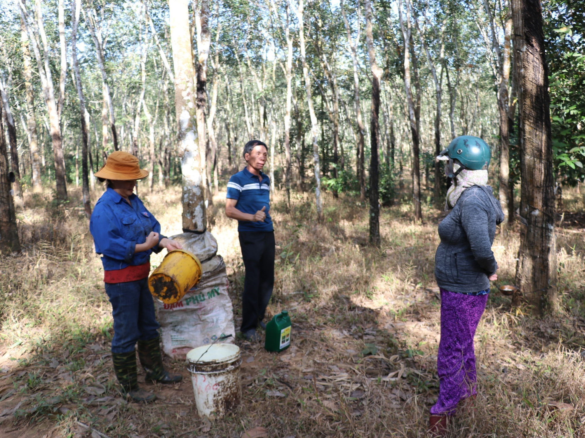 Ông Lâm Văn Giàng thăm hỏi các hộ dân cạo mủ cho gia đình.