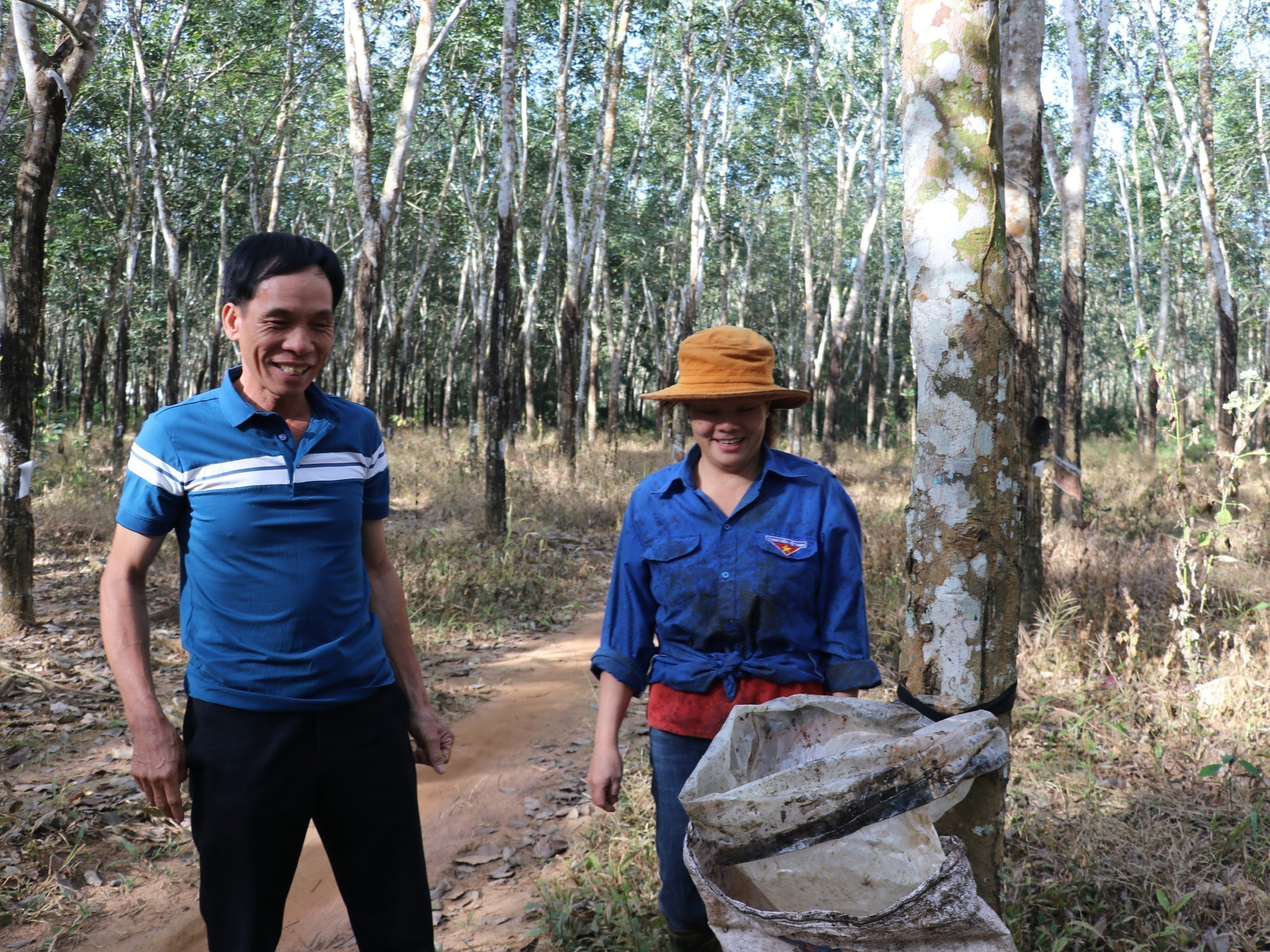 Nhờ cạo mủ cao su, gia đình chị Nông Thị Thảo hơn 10 năm đã có cuộc sống ổn định.