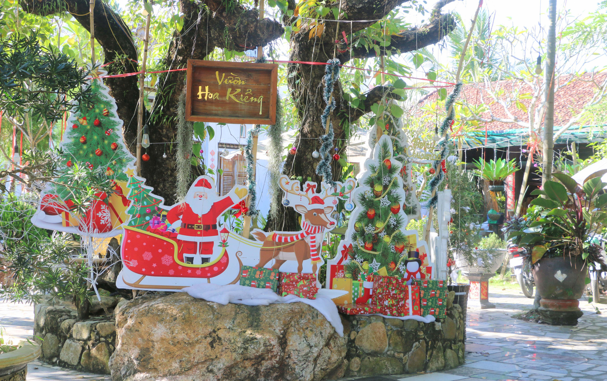 Nhiều quán cafe, nhà hàng, khu mua sắm trên địa bàn xã Tri Tôn đã được trang hoàng lộng lẫy, chuẩn bị đón Giáng sinh 2025.