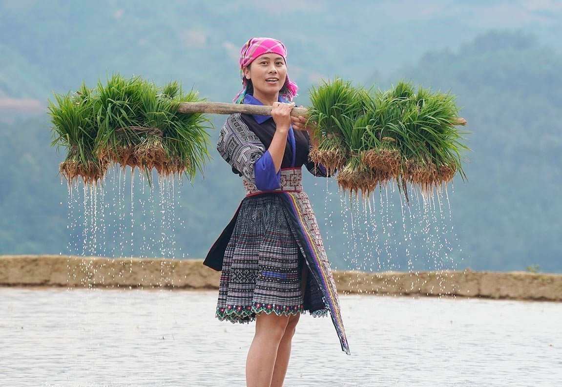 Mùa nước đổ cũng là thời điểm người dân Mù Cang Chải bận rộn bắt đầu vào vụ lúa mới. mua-nuoc-do-17062025-05.jpg