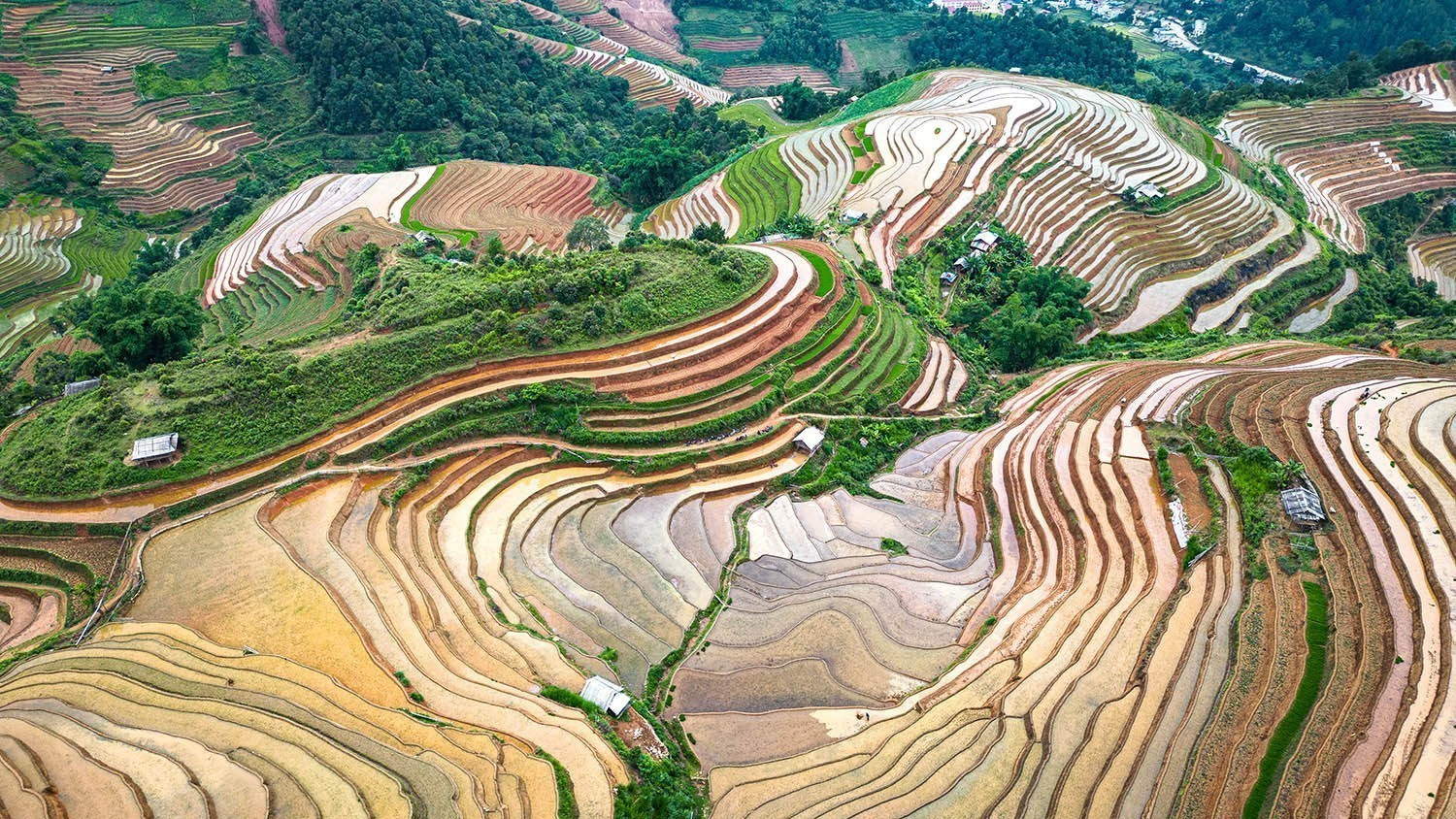 Vẻ đẹp của những thửa ruộng bậc thang mùa nước đổ tại xã Lao Chải (huyện Mù Cang Chải, tỉnh Yên Bái). mua-nuoc-do-17062025-07.jpg