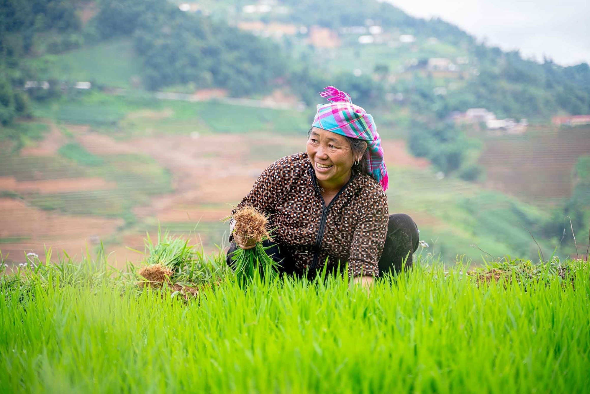 Mùa nước đổ cũng là thời điểm người dân Mù Cang Chải bắt đầu vào vụ lúa mới. mua-nuoc-do-17062025-01.jpg