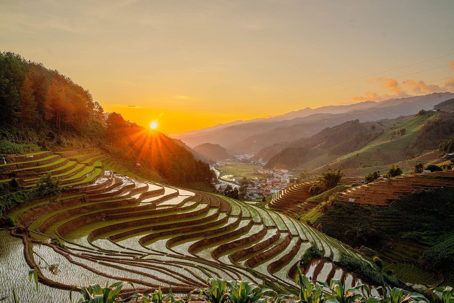 Vẻ đẹp của những thửa ruộng bậc thang mùa nước đổ tại xã Lao Chải (huyện Mù Cang Chải, tỉnh Yên Bái). mua-nuoc-do-17062025-14.jpg