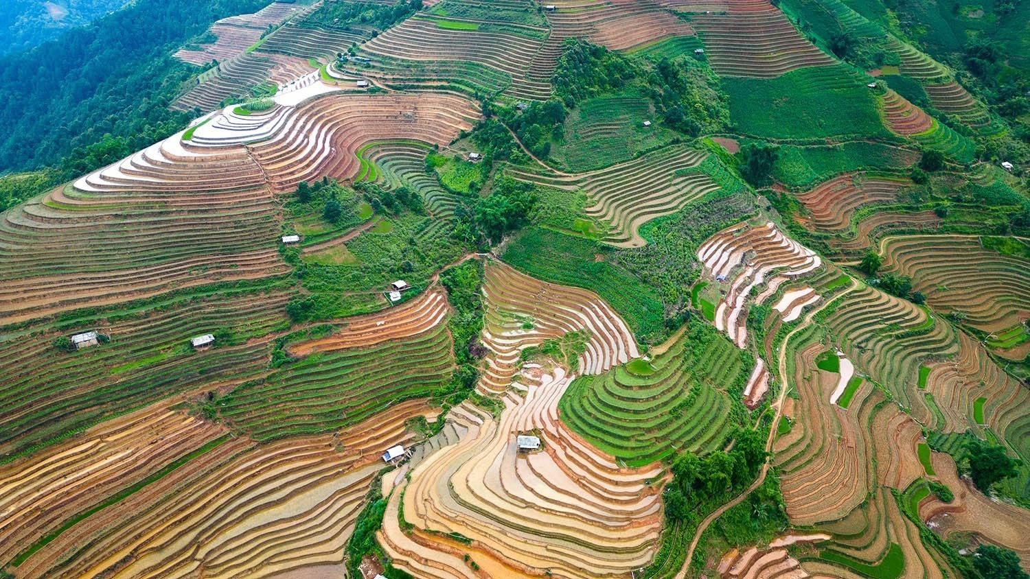 Vẻ đẹp của những thửa ruộng bậc thang mùa nước đổ tại xã Lao Chải (huyện Mù Cang Chải, tỉnh Yên Bái). mua-nuoc-do-17062025-08.jpg