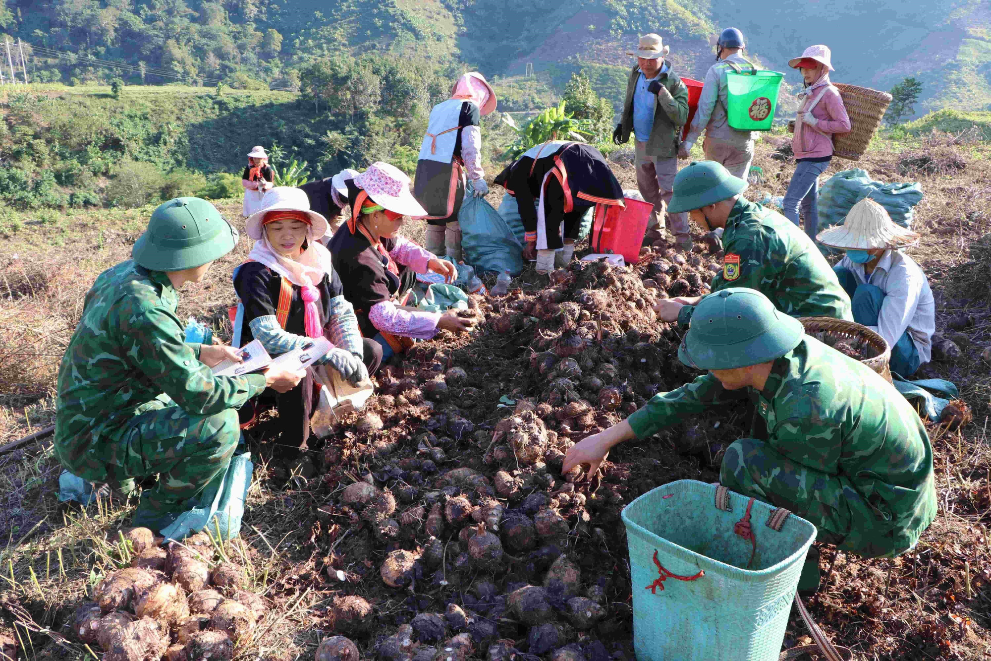 Cán bộ, chiến sĩ Đồn Biên phòng cửa khẩu Ma Lù Thàng (Lai Châu) đến tận nương hướng dẫn bà con kỹ năng số tại bản Hùng Pèng, xã Phong Thổ.