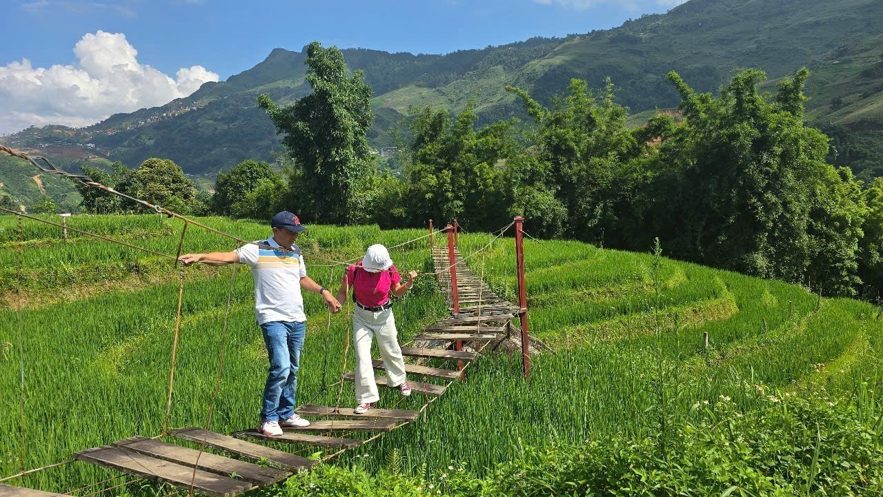 Mùa lúa xanh Tả Van thu hút đông du khách đến tham quan, trải nghiệm. Mùa lúa xanh Tả Van thu hút đông du khách đến tham quan, trải nghiệm.