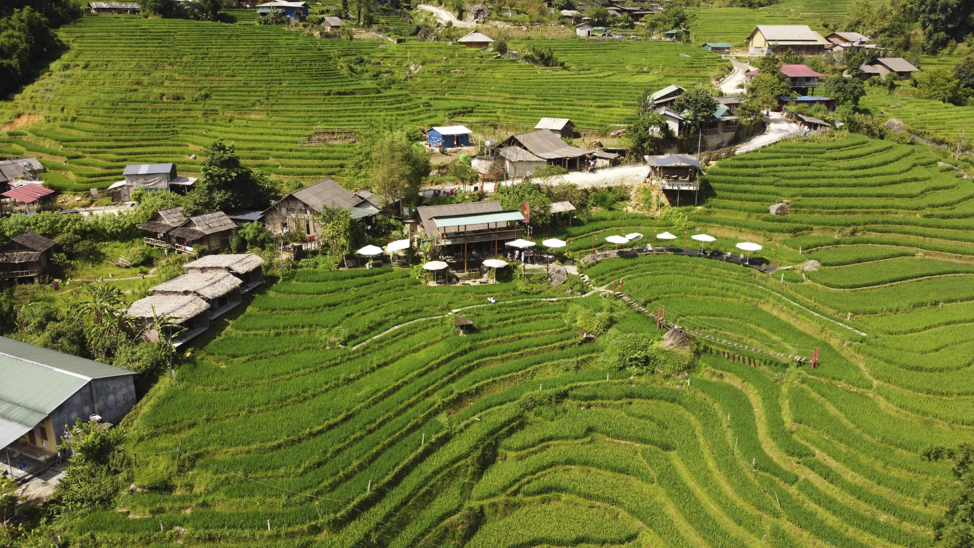 Bản làng thanh bình giữa mùa lúa xanh ở Tả Van. Bản làng thanh bình giữa mùa lúa xanh ở Tả Van.