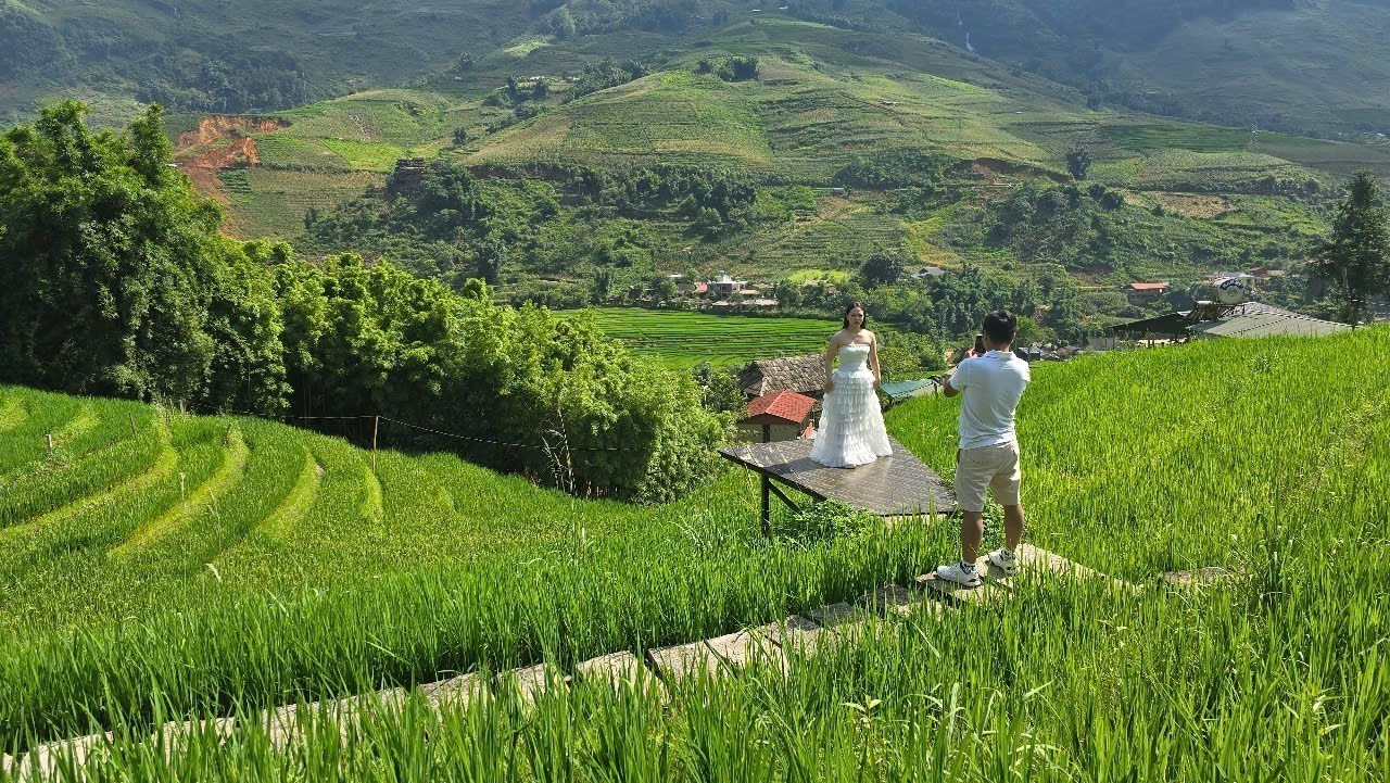 Mùa lúa xanh Tả Van thu hút đông du khách đến tham quan, trải nghiệm. Mùa lúa xanh Tả Van thu hút đông du khách đến tham quan, trải nghiệm.