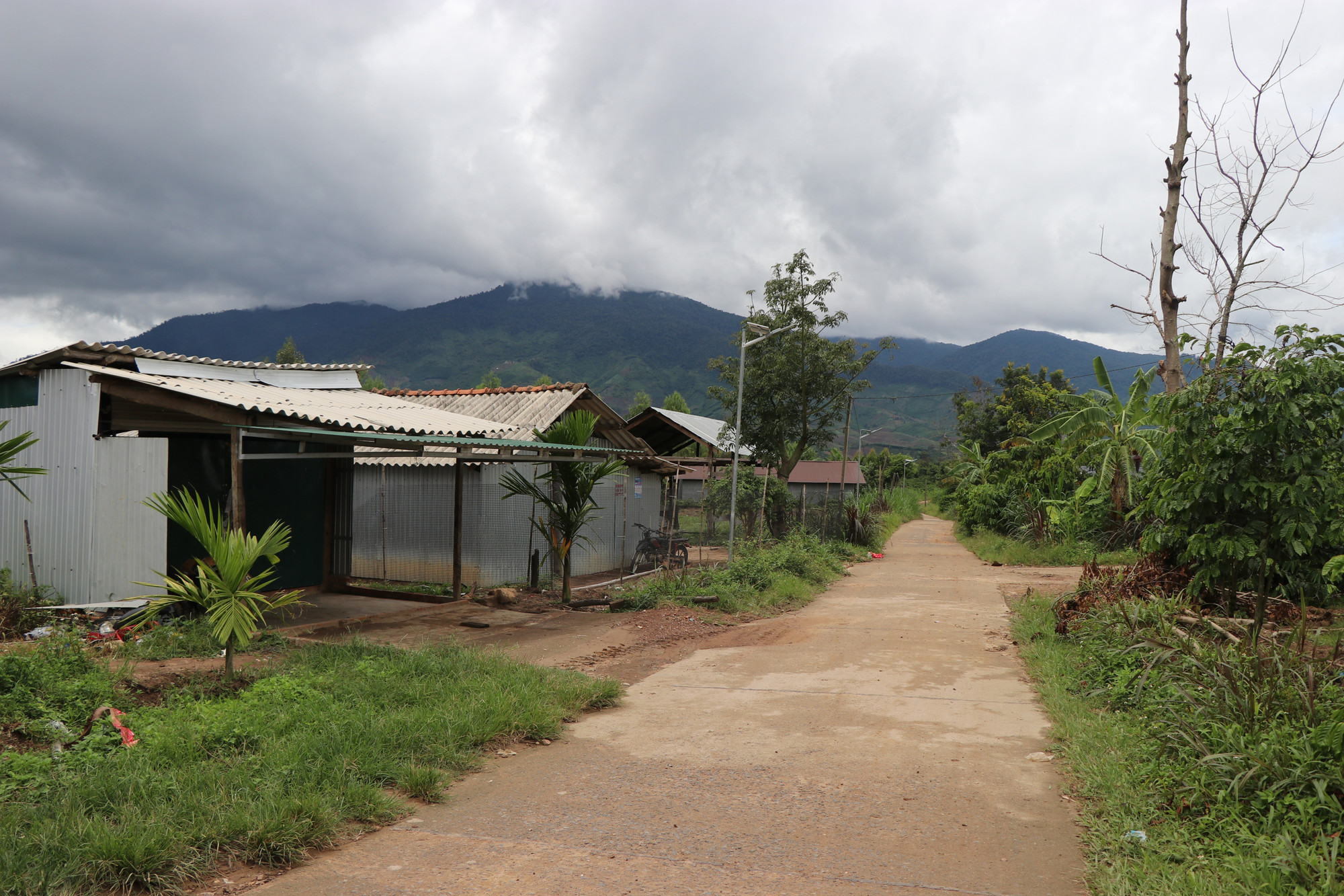 Nhờ sự đồng lòng của chính quyền và người dân, tỷ lệ hộ nghèo toàn xã Cư Pui, tỉnh Đắk Lắk giảm từ hơn 57% năm 2020 xuống còn gần 50% cuối năm 2024.