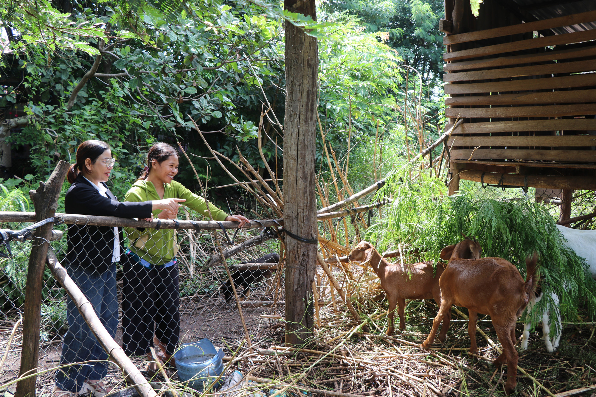 Các mô hình không chỉ trao “cần câu”, mà còn giúp bà con thay đổi thói quen sản xuất, tăng cường tiếp cận khoa học kỹ thuật.